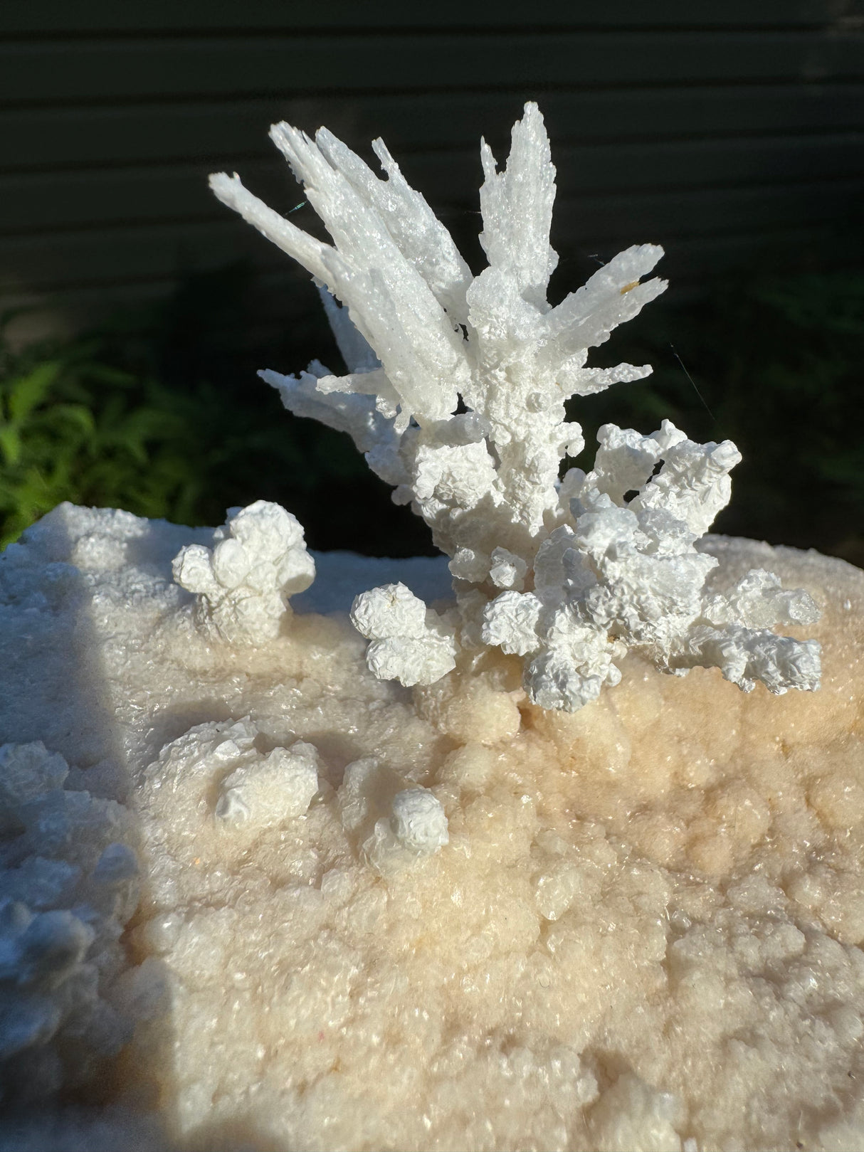 Flower Calcite Specimen - 400g