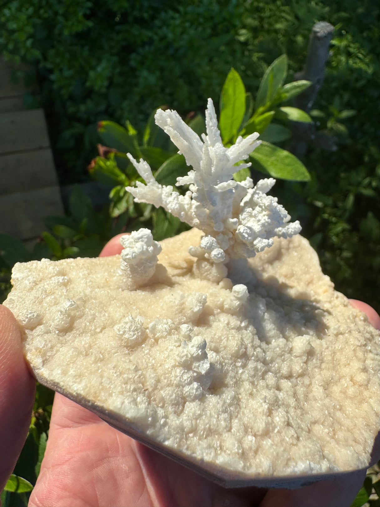 Flower Calcite Specimen - 400g