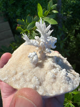 Flower Calcite Specimen - 400g