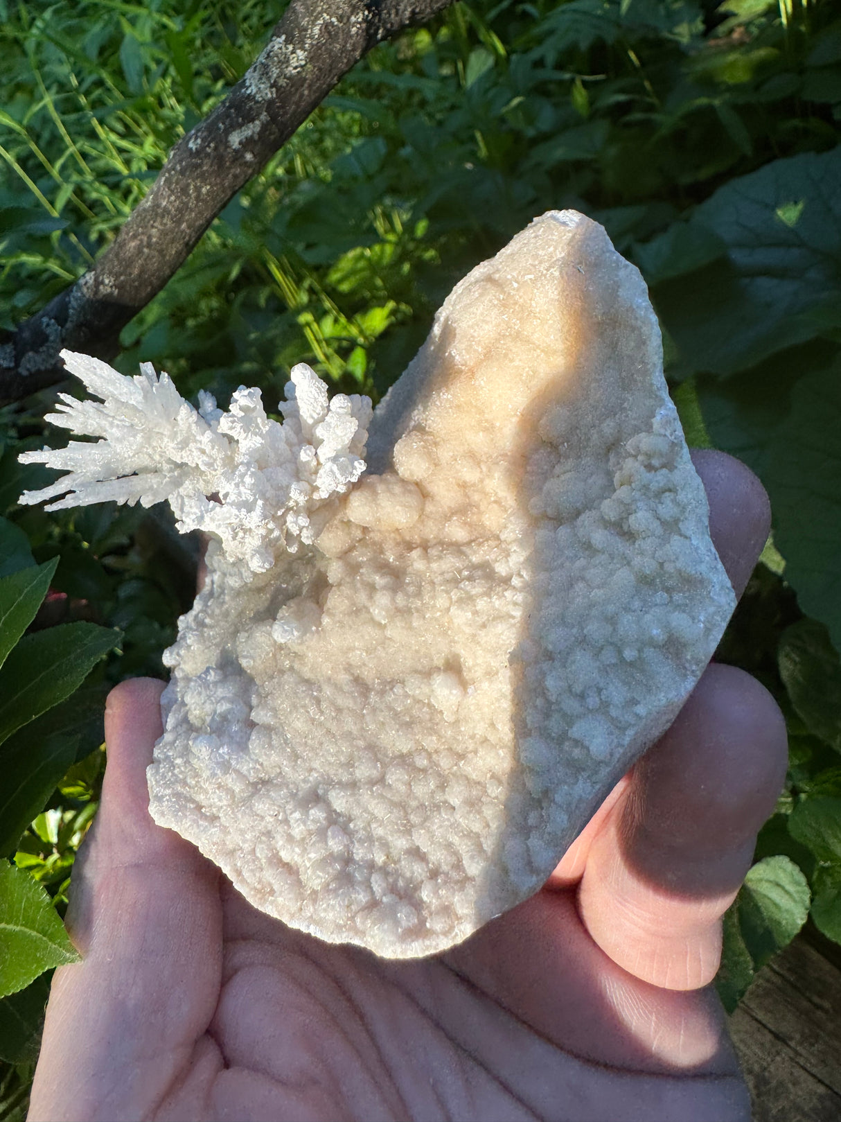 Flower Calcite Specimen - 400g