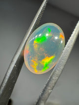 Opal Specimen - 2.7ct