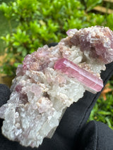 Pink Tourmaline Specimen - 50g