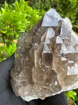 Quartz Specimen - 536g