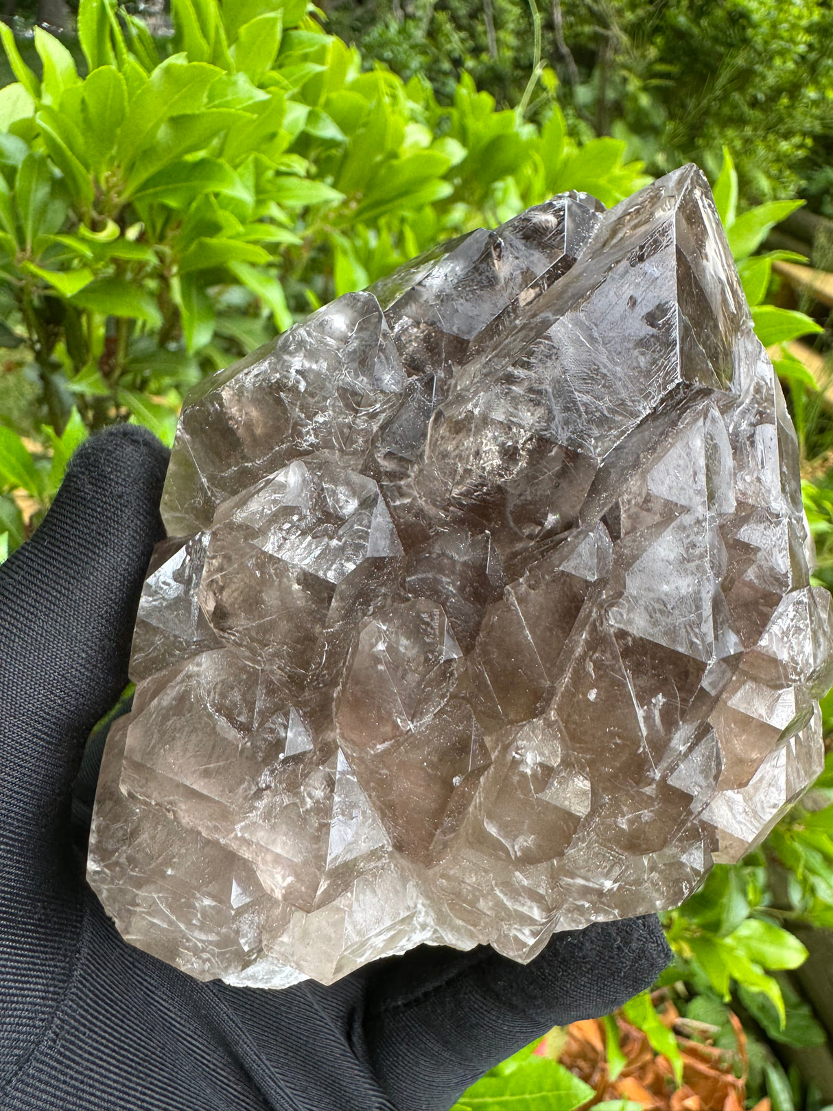 Quartz Specimen - 536g