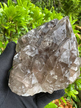 Quartz Specimen - 536g