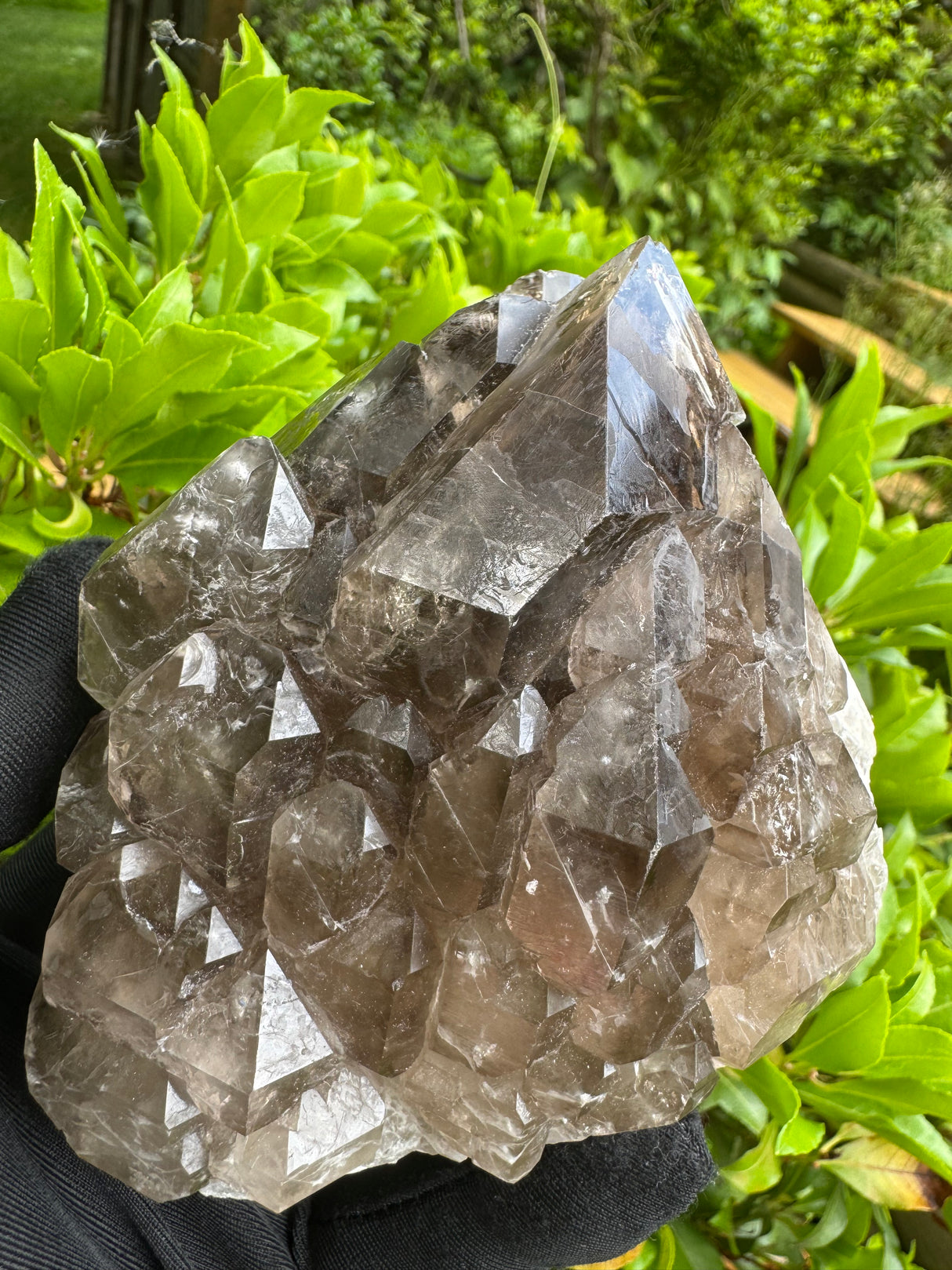 Quartz Specimen - 536g