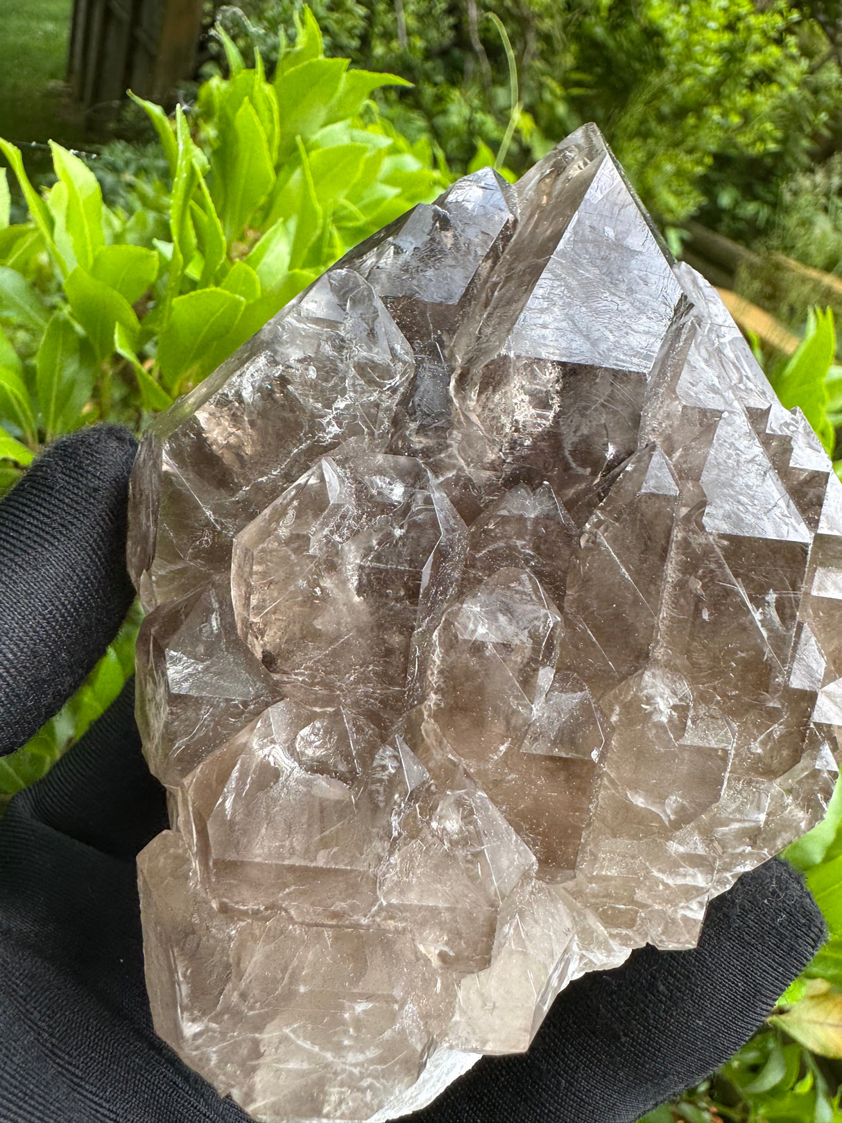 Quartz Specimen - 536g
