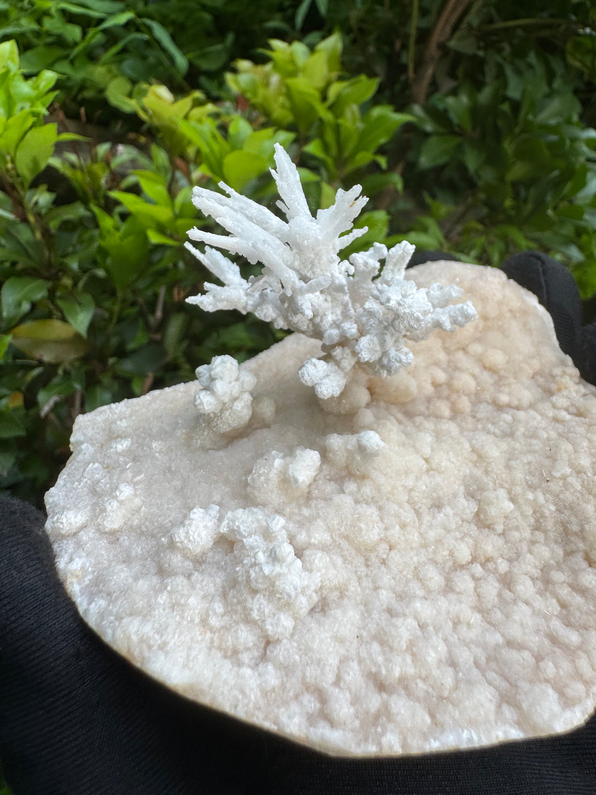 Flower Calcite Specimen - 400g