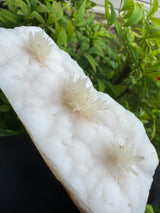 Flower Calcite Specimen - 135g