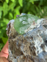 Peridot Specimen - 67g