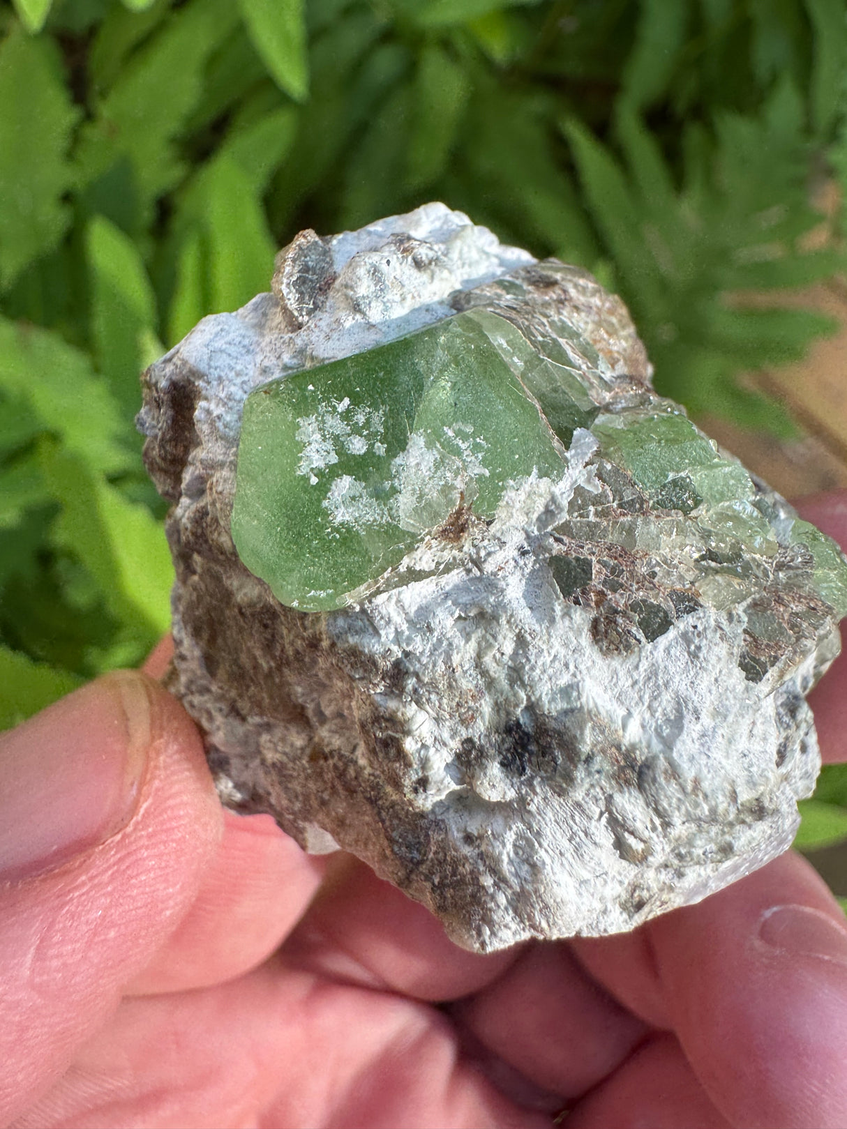 Peridot Specimen - 67g