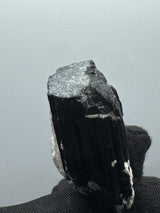 Black Tourmaline Specimen - 36g