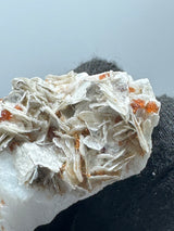 Garnet on Star Mica Specimen - 13g