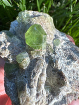 Peridot Specimen - 126g