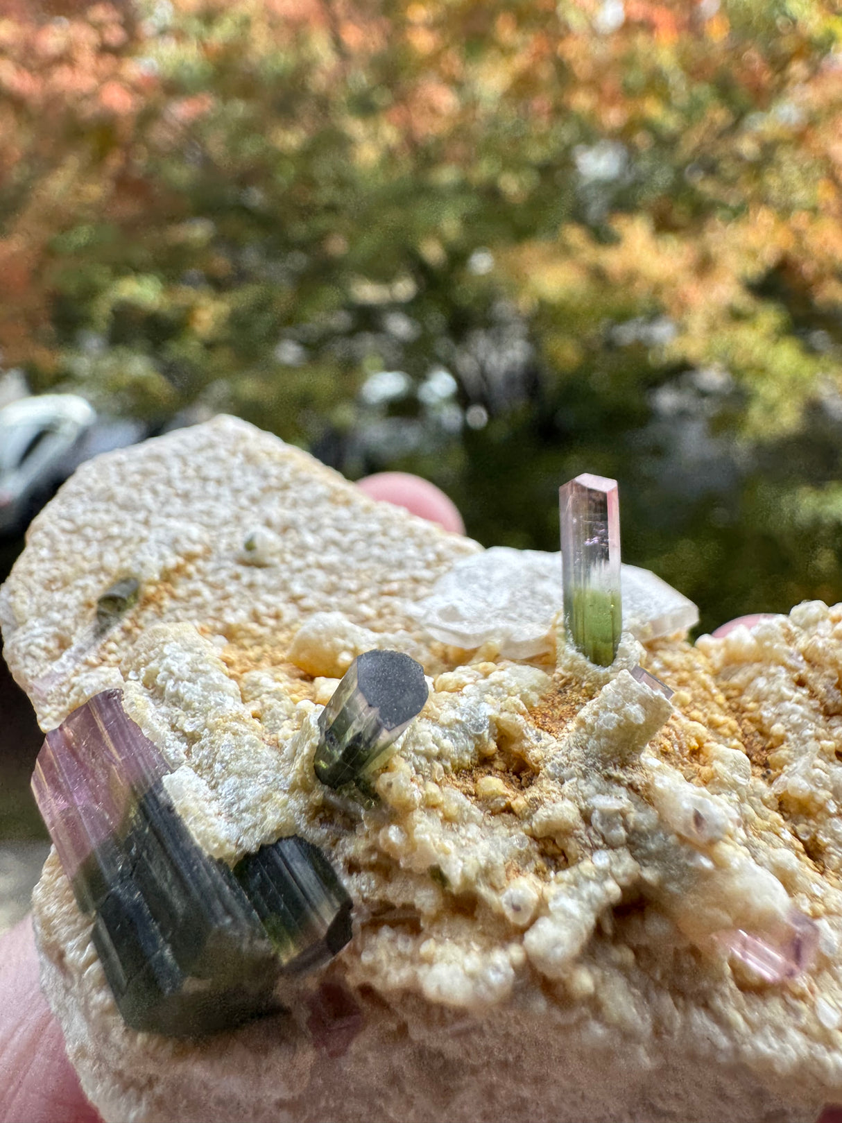 Watermelon Tourmaline Specimen - 106g