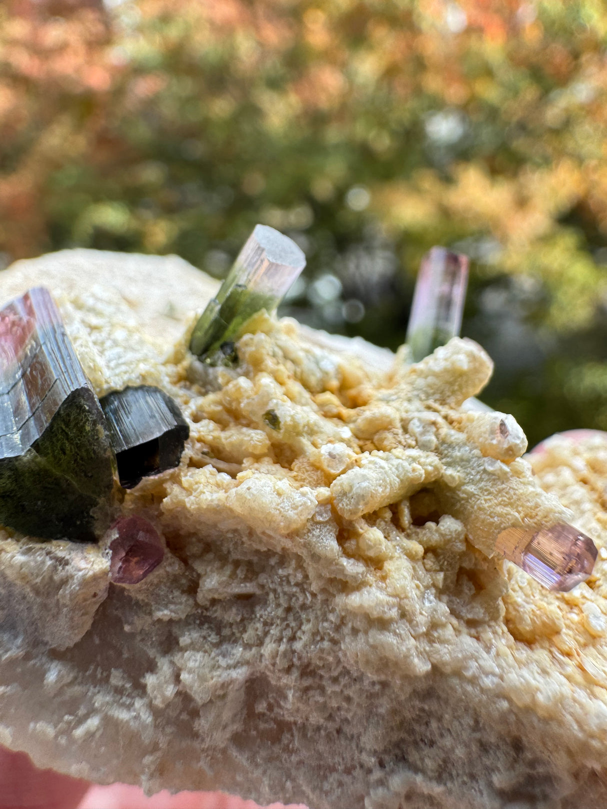 Watermelon Tourmaline Specimen - 106g