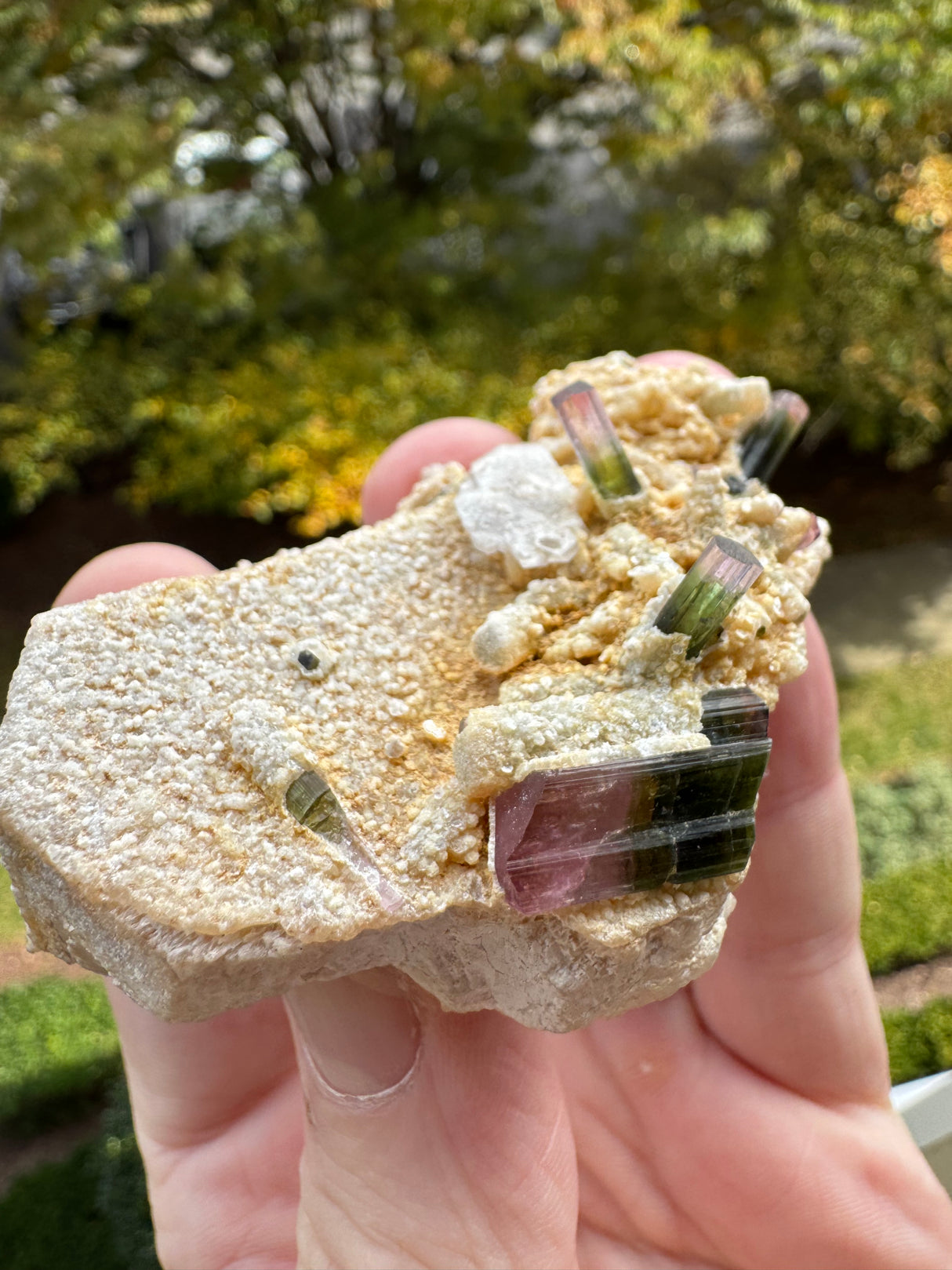 Watermelon Tourmaline Specimen - 106g