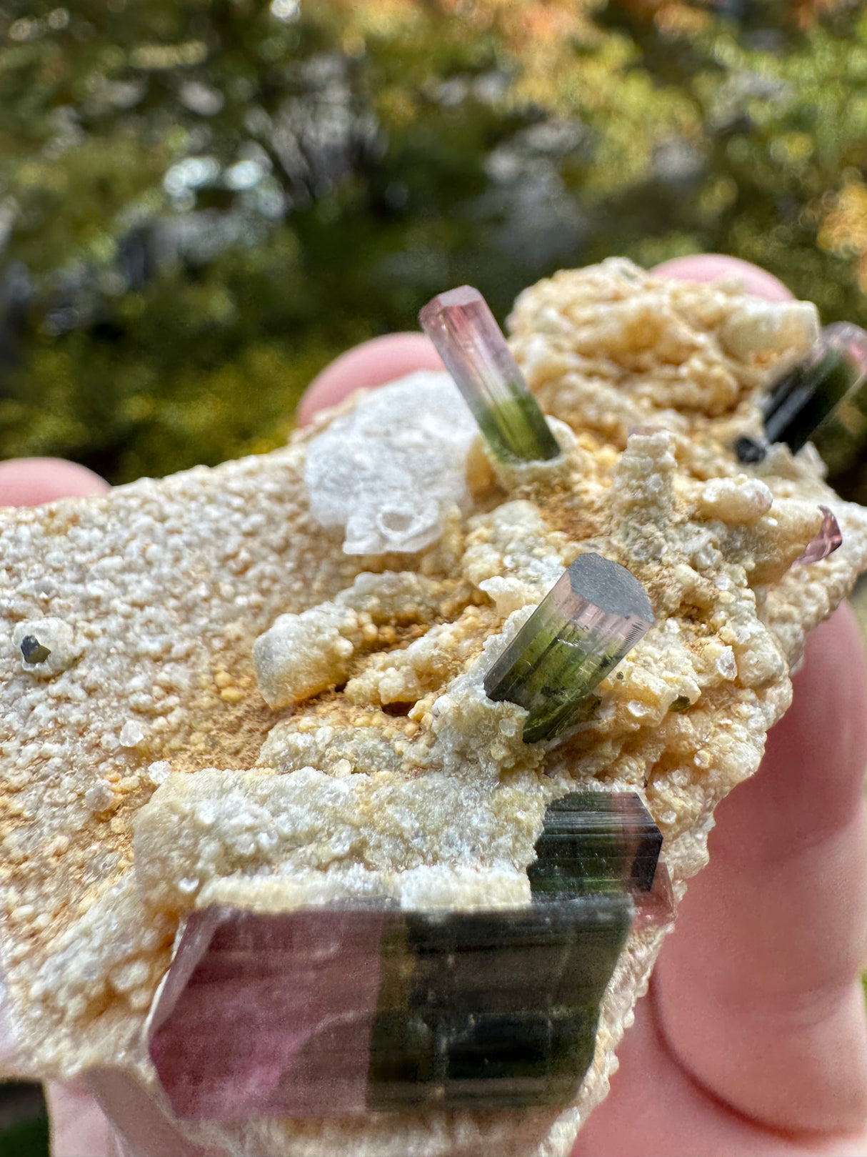 Watermelon Tourmaline Specimen - 106g