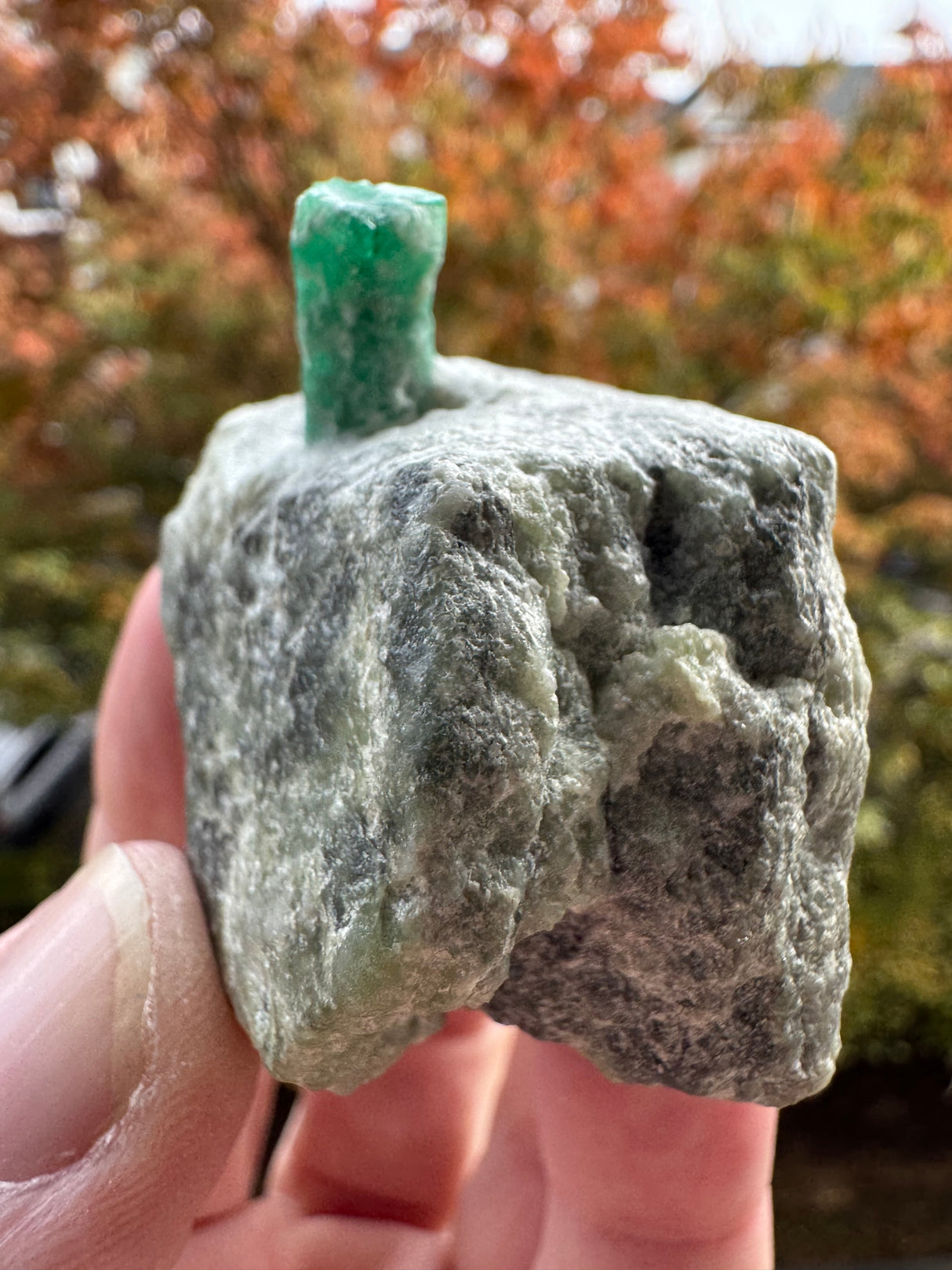 Emerald Specimen - 97g