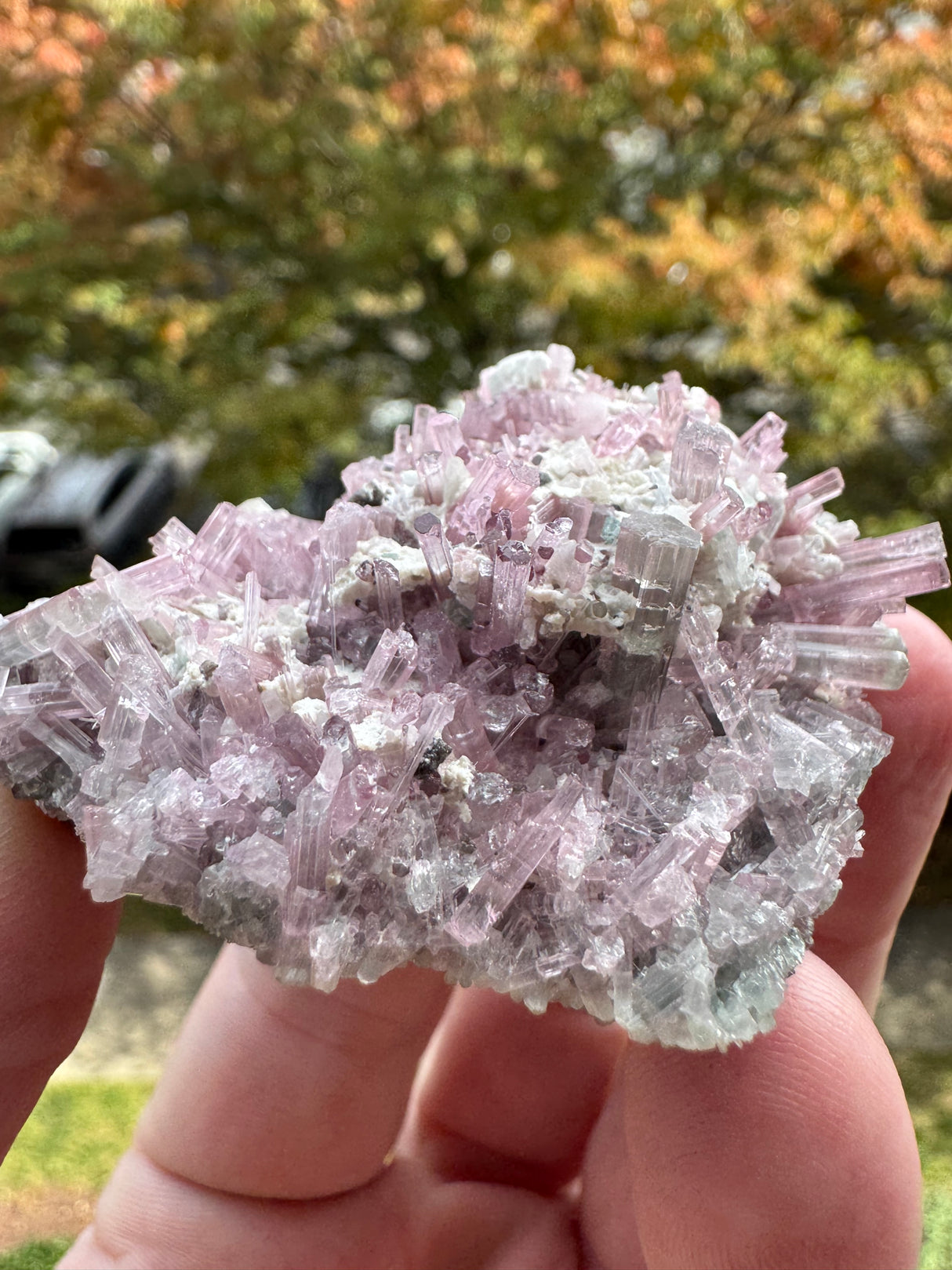 Pink Tourmaline Specimen - 64g