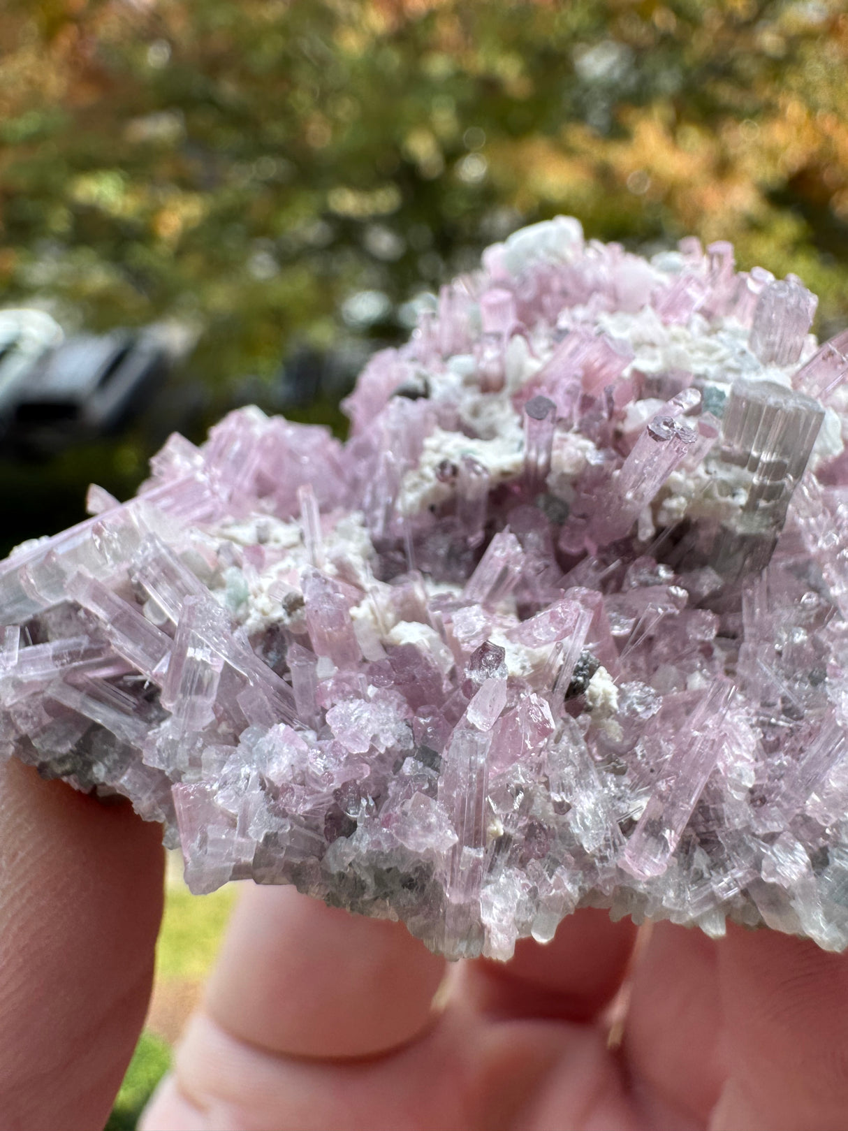 Pink Tourmaline Specimen - 64g