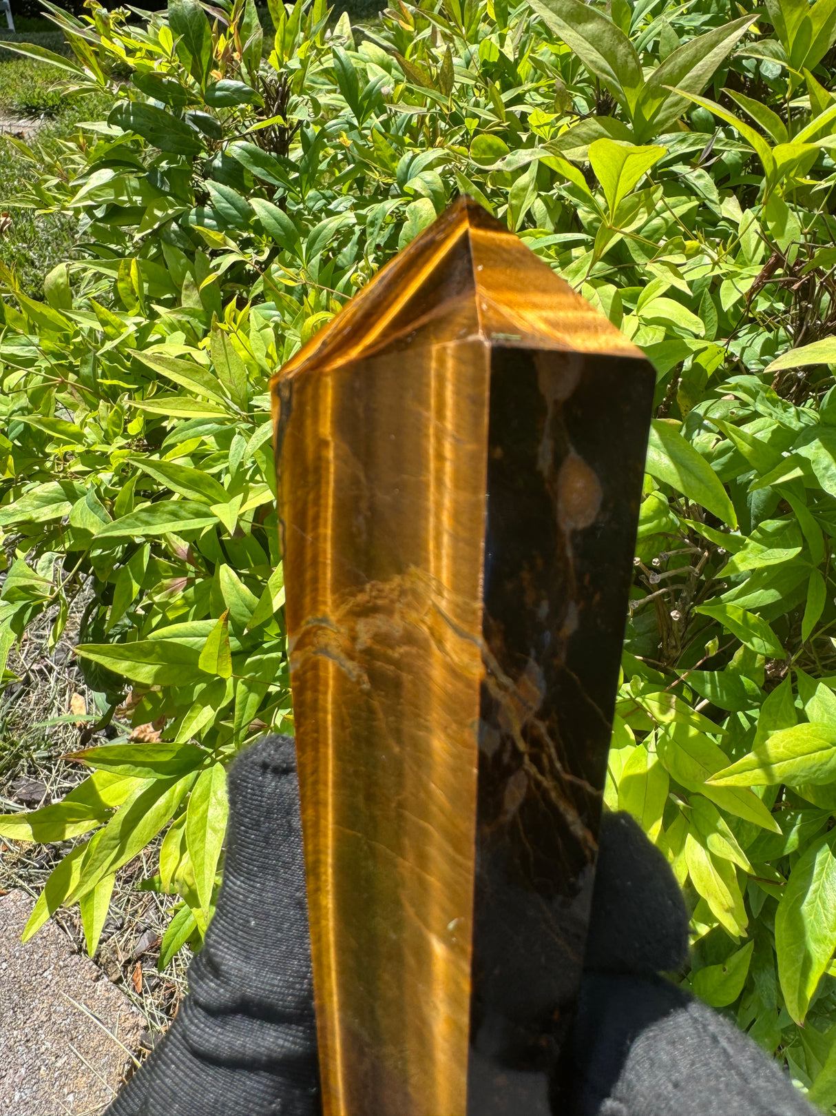 Tigers Eye Polished Wand - 411g