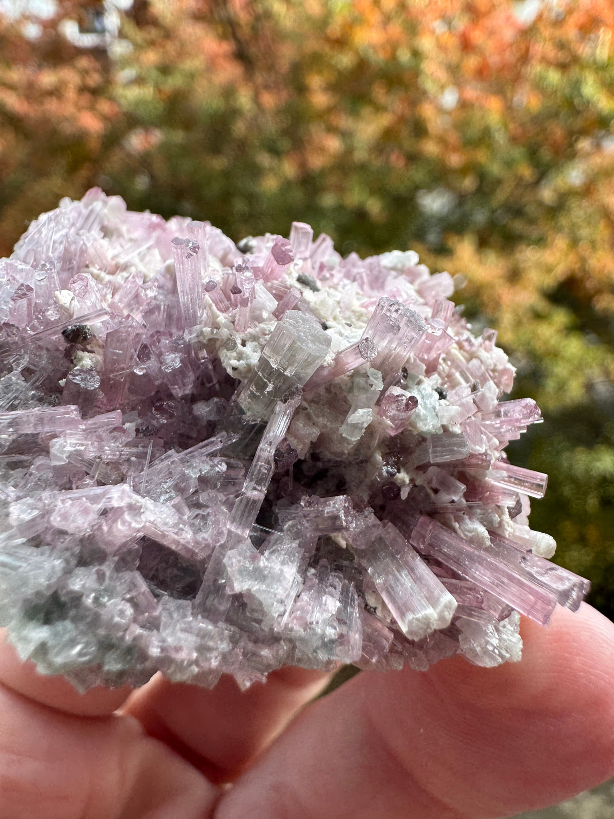 Pink Tourmaline Specimen - 64g