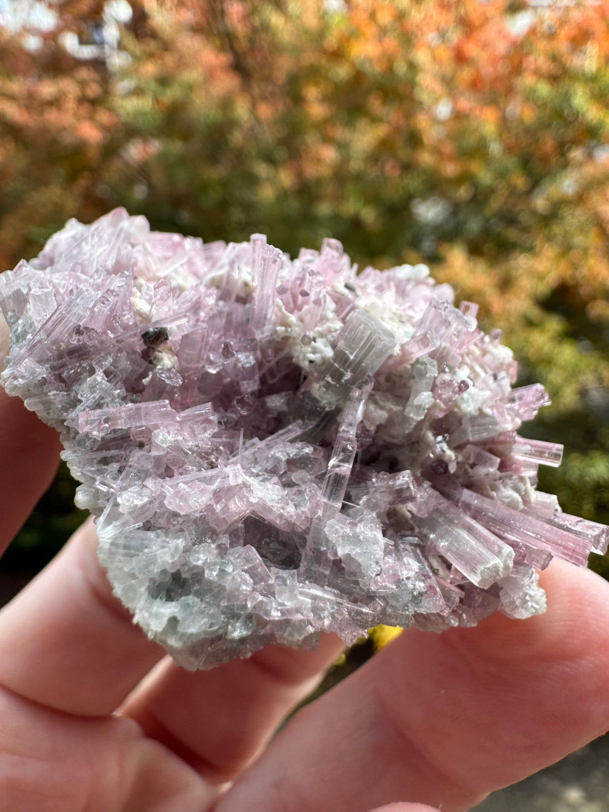 Pink Tourmaline Specimen - 64g