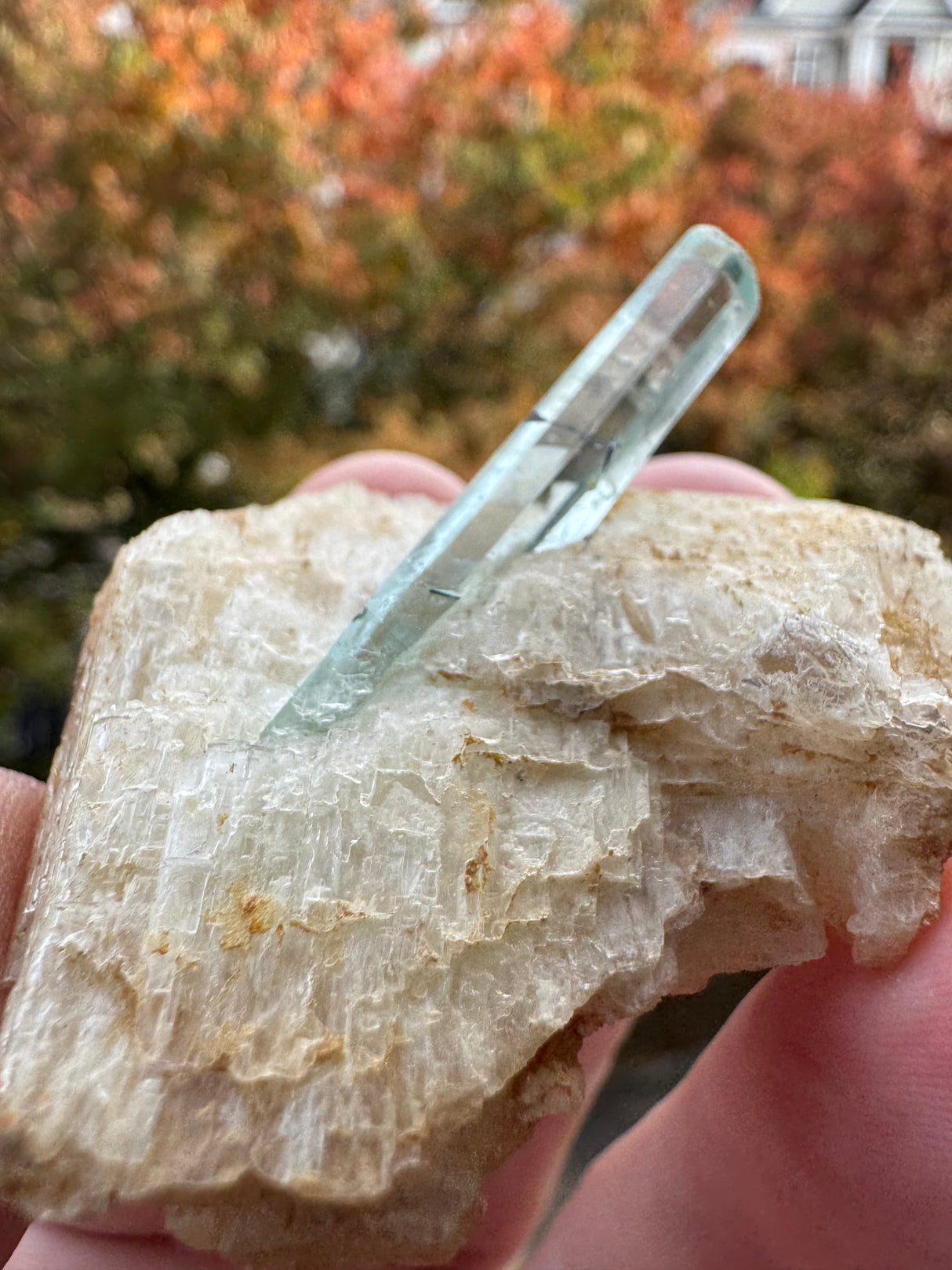 Aquamarine Specimen - 29g