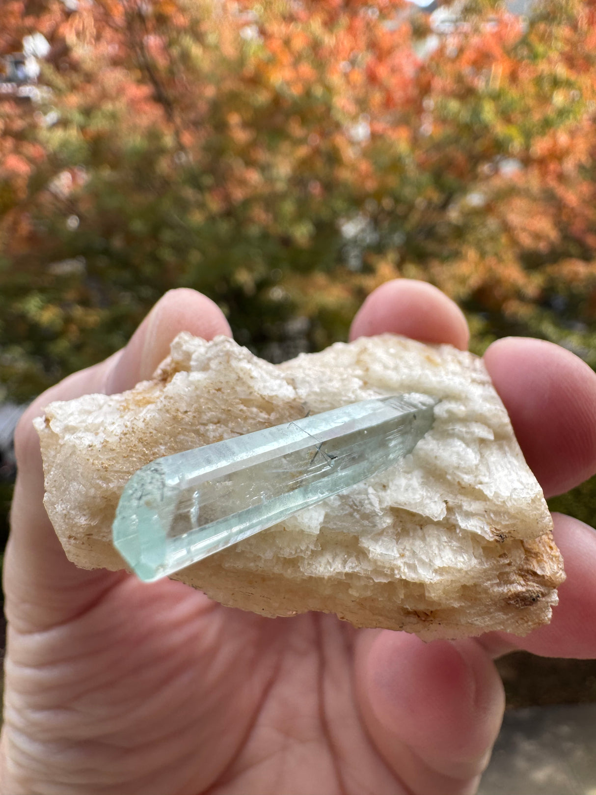 Aquamarine Specimen - 29g