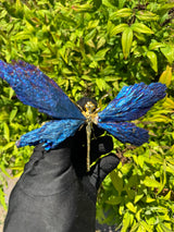 Aura Kyanite Butterfly - Sold Individually