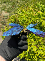 Aura Kyanite Butterfly - Sold Individually