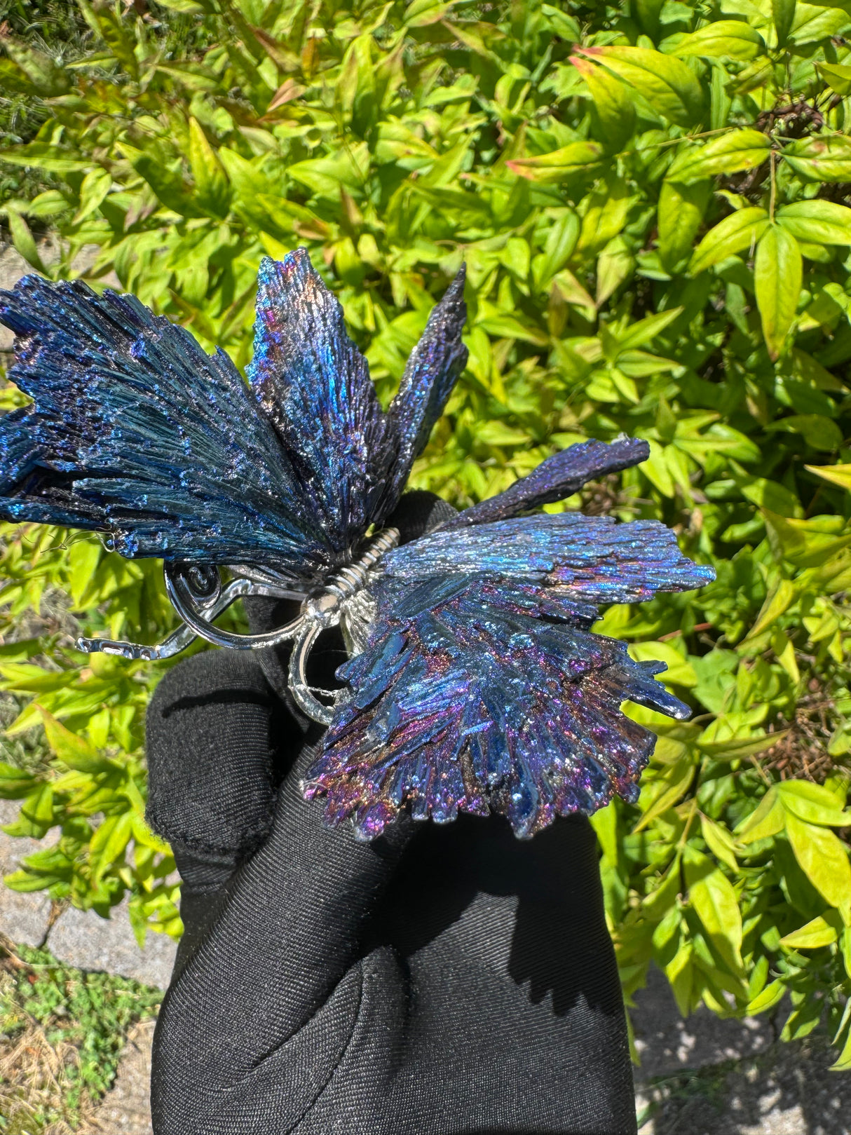 Aura Kyanite Butterfly Type II - Sold Individually