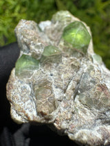 Peridot Specimen - 126g