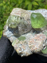 Peridot Specimen - 126g
