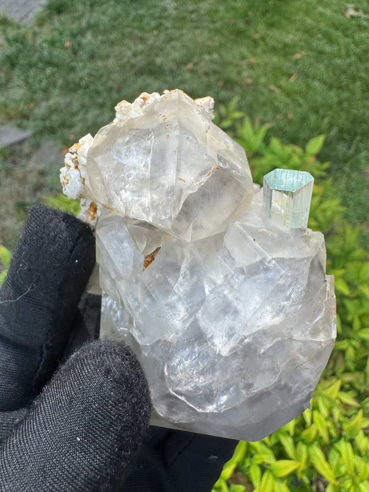 Aquamarine on Quartz  Specimen - 605g