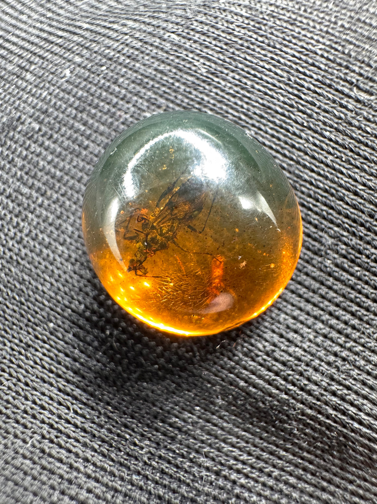 Amber Cabochon - 0.629g