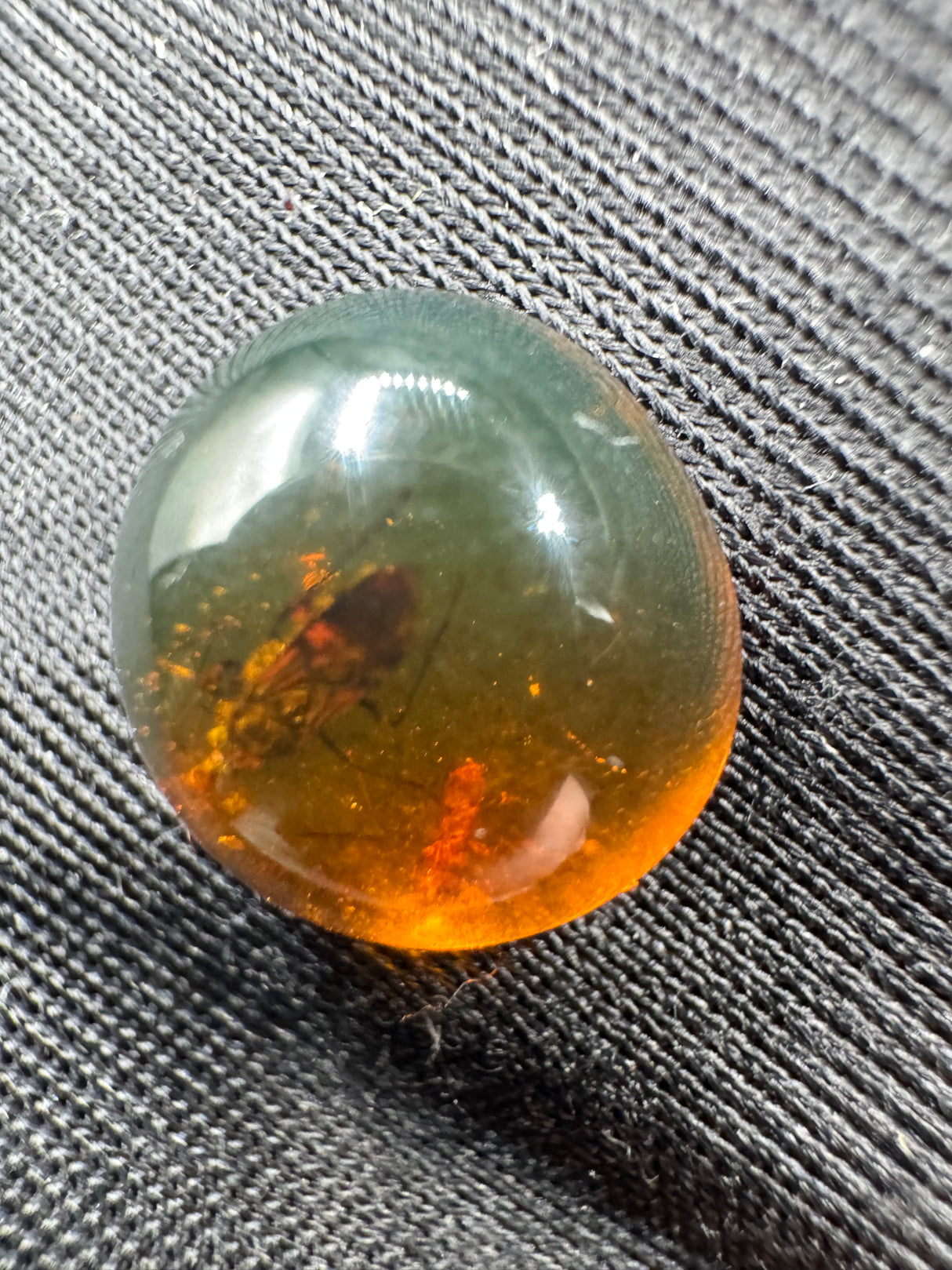 Amber Cabochon - 0.629g