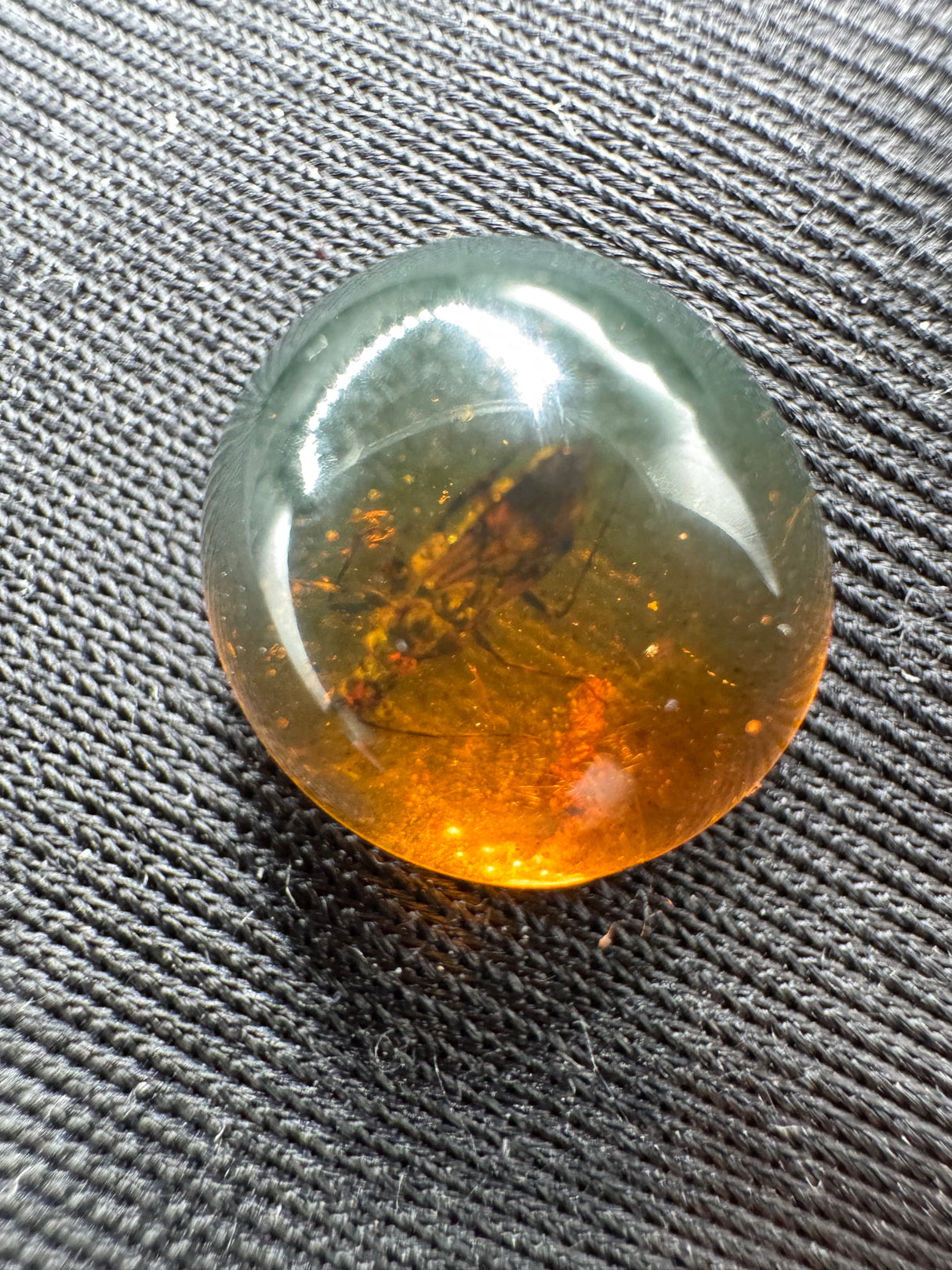 Amber Cabochon - 0.629g