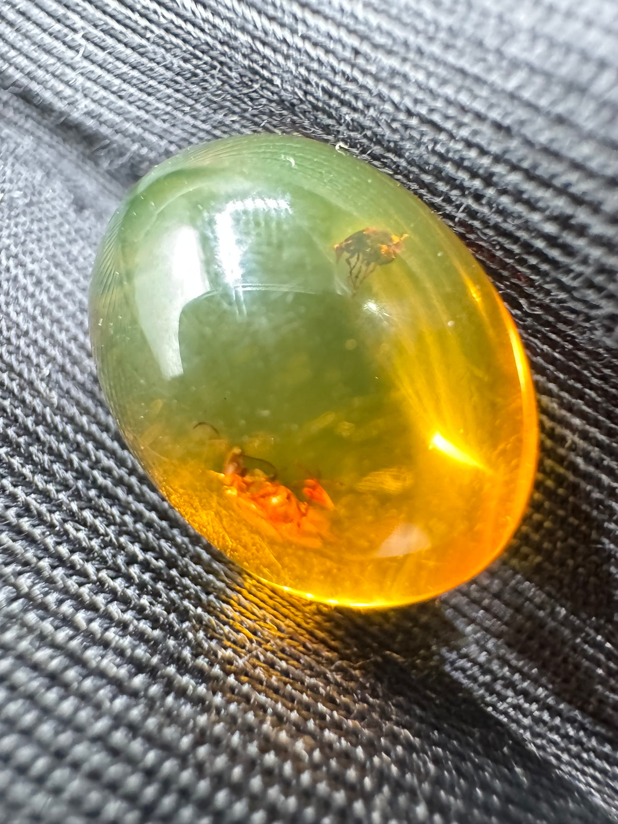 Amber Cabochon - 1.213g