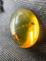 Amber Cabochon - 1.213g