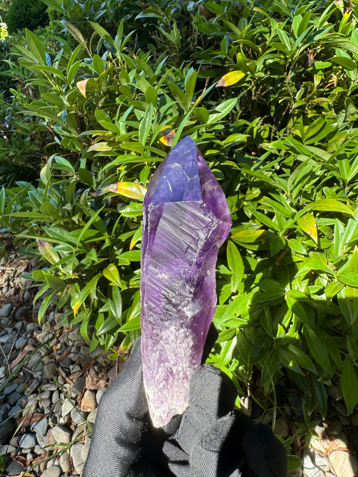 Amethyst Root Specimen - 56g