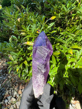 Amethyst Root Specimen - 56g