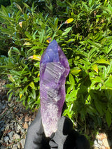 Amethyst Root Specimen - 56g