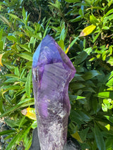 Amethyst Root Specimen - 56g