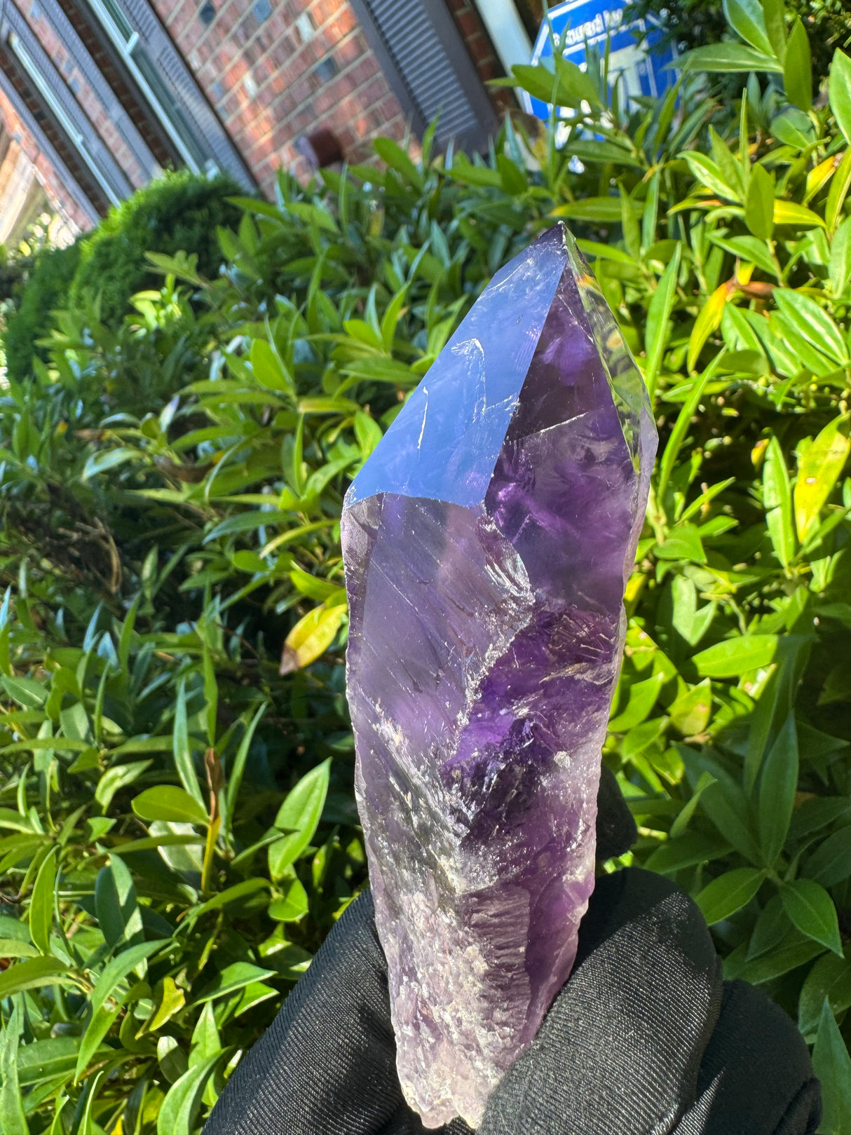 Amethyst Root Specimen - 56g
