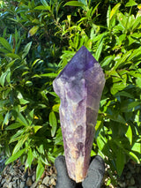 Amethyst Root Specimen - 64g