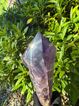 Amethyst Root Specimen - 64g