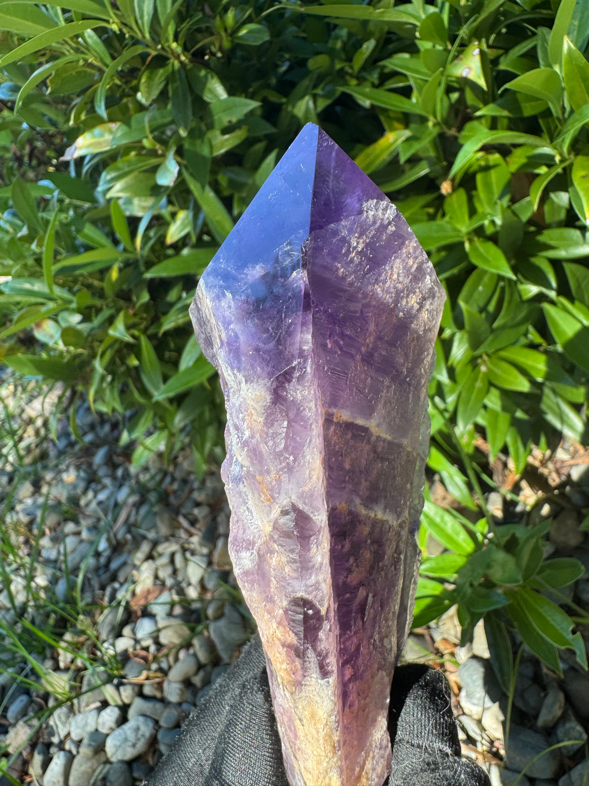 Amethyst Root Specimen - 64g