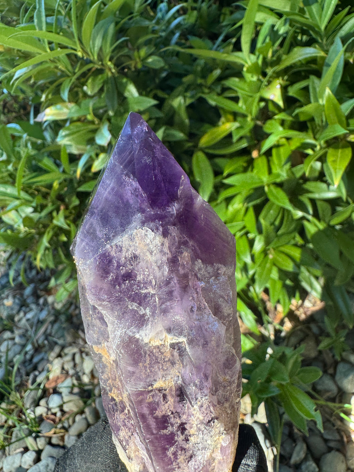 Amethyst Root Specimen - 64g